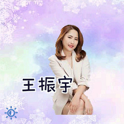 王振宇